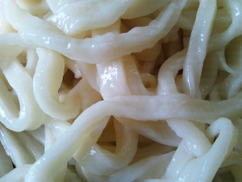 冷うどんで麺の味を堪能1304740