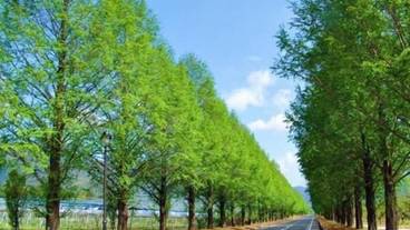 施設の敷地 / 11