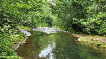 ランド ビュー / 5