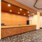 川治温泉 川治一柳閣本館（栃木県 旅館） / 3