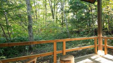 林をそよぐ 山桜 テラス / 20