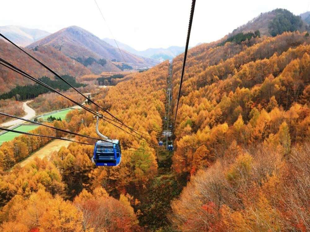 施設からの眺望