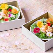 箱根 芦ノ湖 はなをり（神奈川県 旅館） / 5