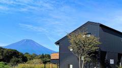 Cottage SILVER SPRAY