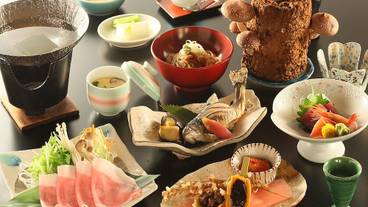 食事・飲み物 / 14