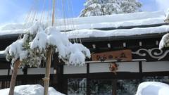 温泉浴と森林浴 ひらゆの森