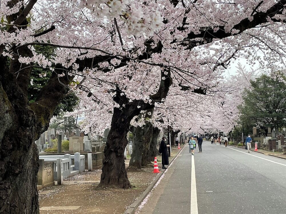 施設からの眺望