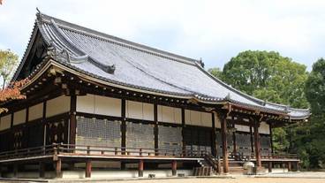 観光スポット / 11