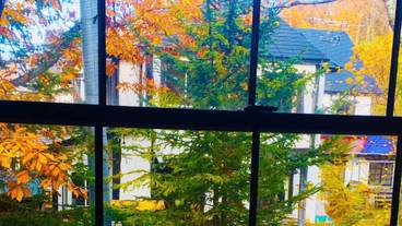 ガーデン ビュー / 31