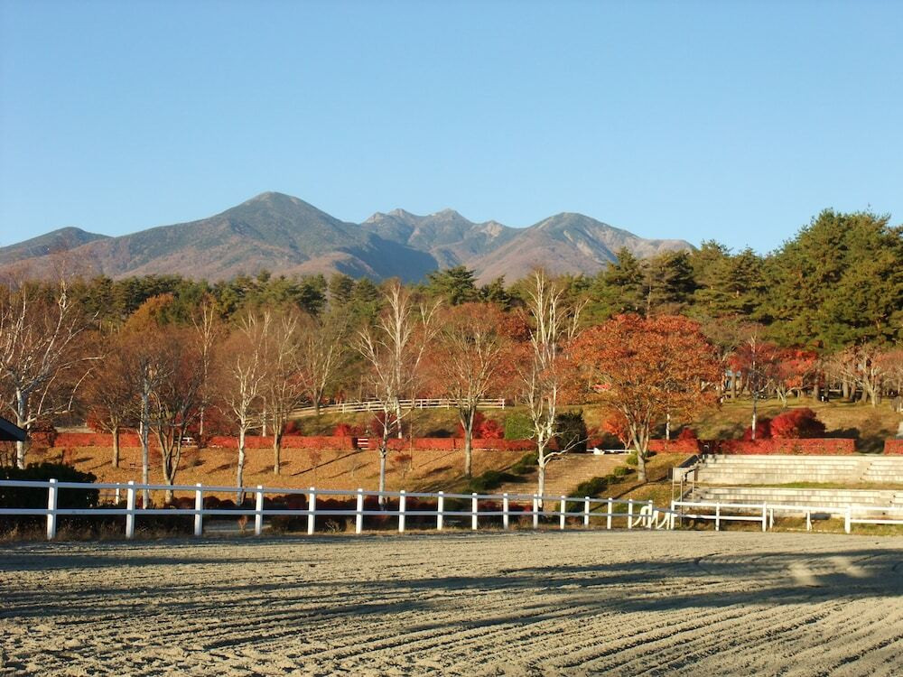 マウンテン ビュー