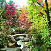 横手駅前温泉 ホテルプラザ迎賓（秋田県 旅館） / 5