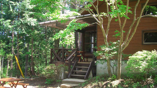 トラディショナル ルーム 禁煙