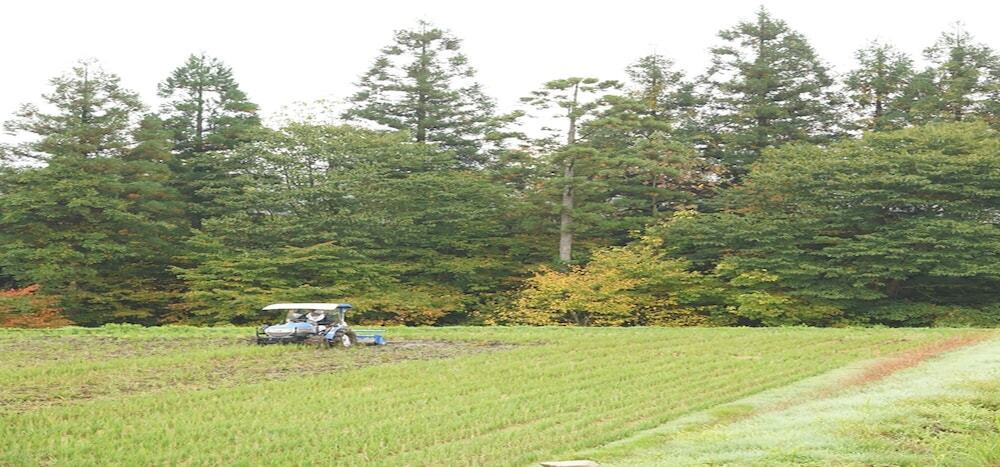 施設からの眺望