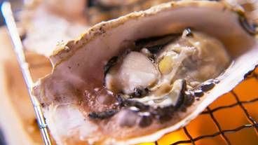 食事・飲み物 / 6