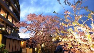 稲取赤尾ホテル(イナトリオンセン カシキリブロノヤド アカオホテル カイフウロウ) / 1