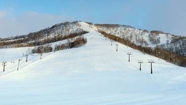 観光スポット / 25