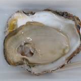 山六水産(ヤマロクスイサン)