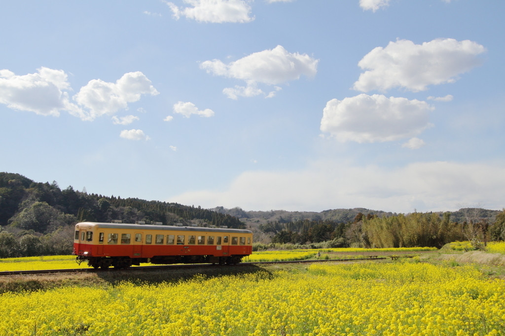東京駅から電車で約2時間。ローカル線でのんびりトコトコ4250333