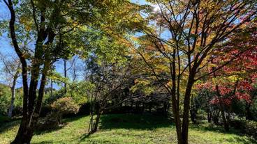 ガーデン ビュー / 16