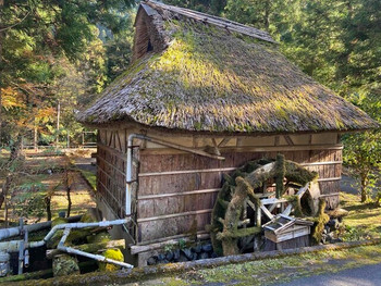 「日登美山荘」 その他 123111894