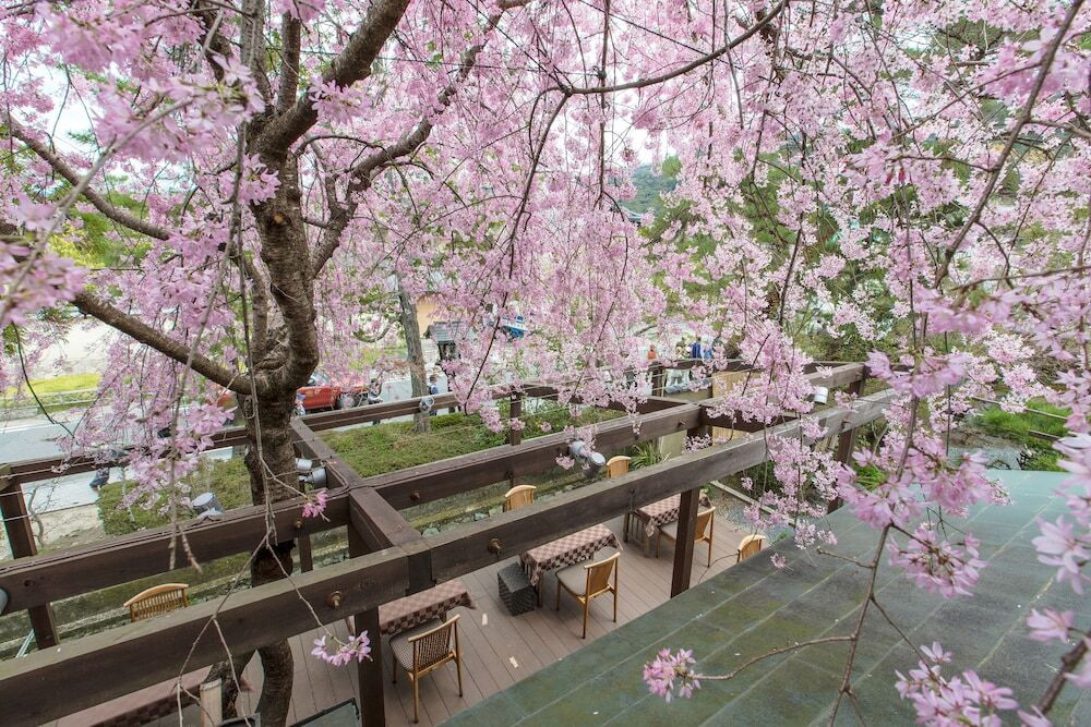 南禅寺 八千代（ナンゼンジ ヤチヨ） / 10