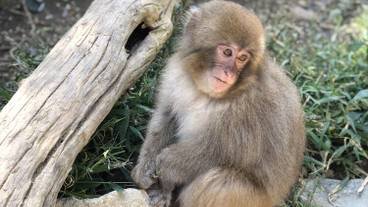 観光スポット / 7