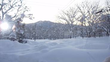 マウンテン ビュー / 28