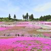 【2020年】はじめての関東・埼玉【秩父】の旅行計画なら“王道”観光スポットをチェック！