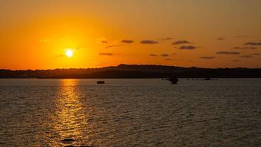 施設からの眺望 / 15