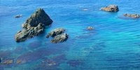北海道・青く透き通った積丹ブルーを見に行きませんか？うに丼も忘れずに♡