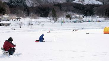 スノーシュー / 11