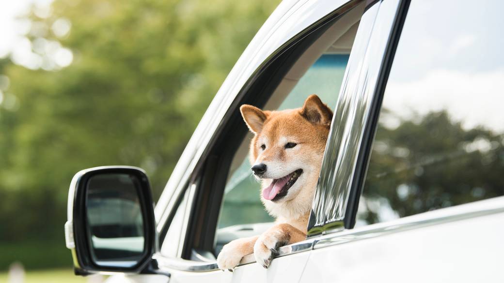 「軽井沢」まで
愛犬とドライブ旅♪ / 1