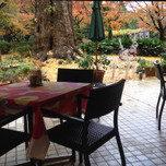 【東京】秋の景色を楽しみながらゆっくりできる街中カフェ7選