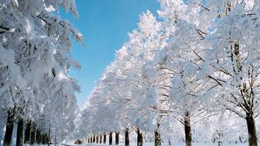 施設の敷地 / 17