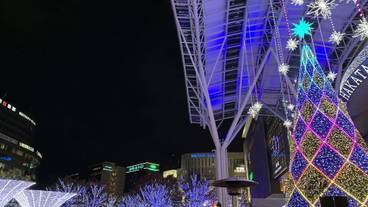 観光スポット / 7