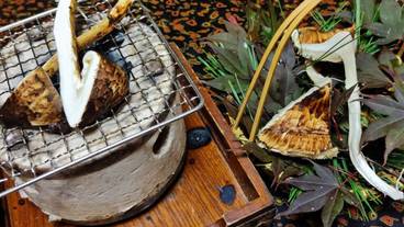 食事・飲み物 / 26