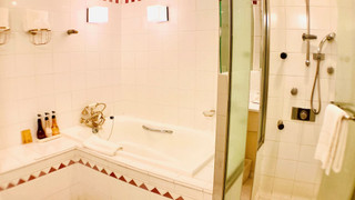 [禁煙] ジュニア スイート