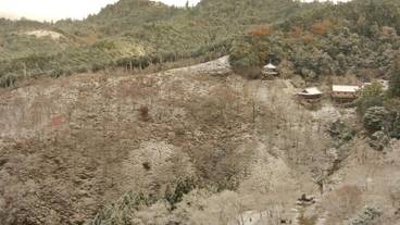 施設の敷地 / 19