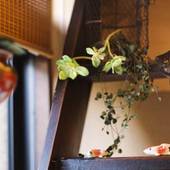 下呂温泉 こころをなでる静寂 みやこ（岐阜県 旅館） / 3