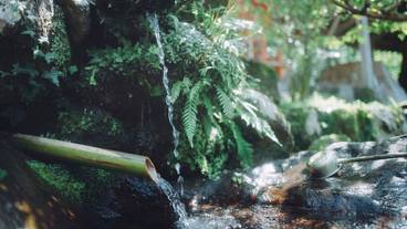 ランド ビュー / 21