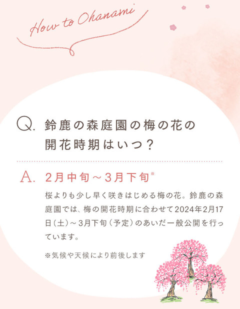 梅の花の香りに誘われて。幻想的なお花見 - 4