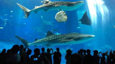 フィットネス設備 / 4