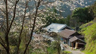 マウンテン ビュー / 9