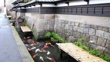 観光スポット / 16