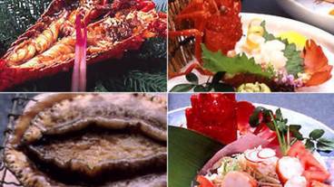 食事・飲み物 / 11