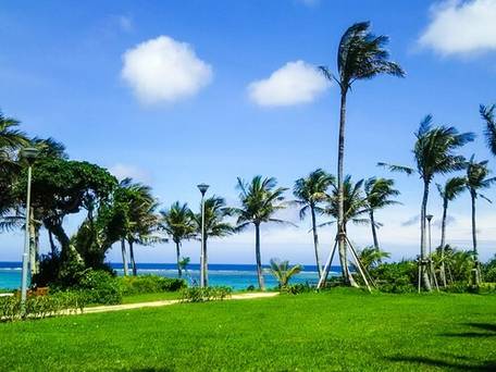 ザ・ムーンビーチ ミュージアムリゾート / 4