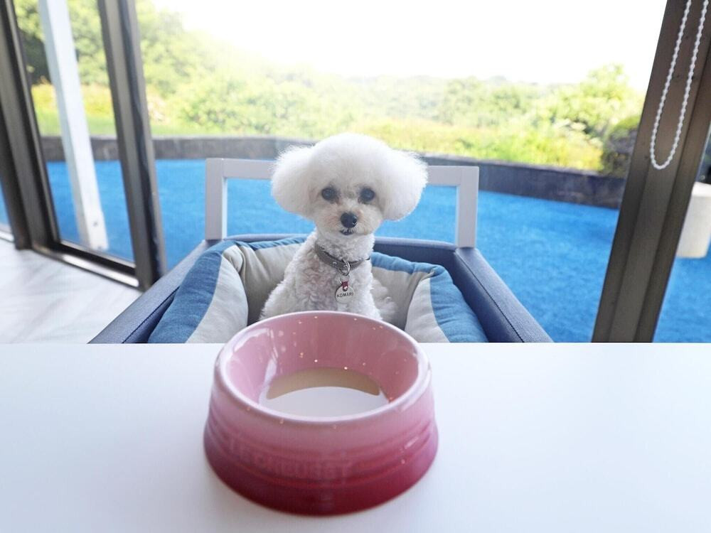 ペット用設備・サービス