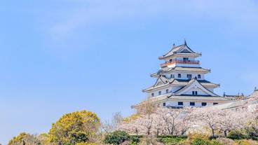 観光スポット / 11