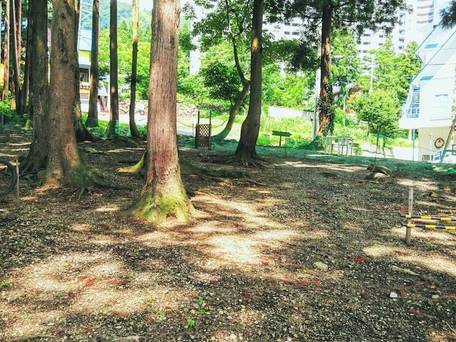 アルミュール / 4