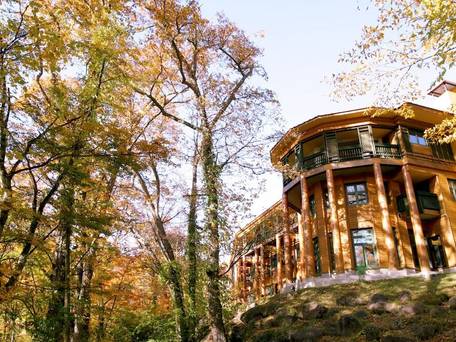 中禅寺金谷ホテル / 1